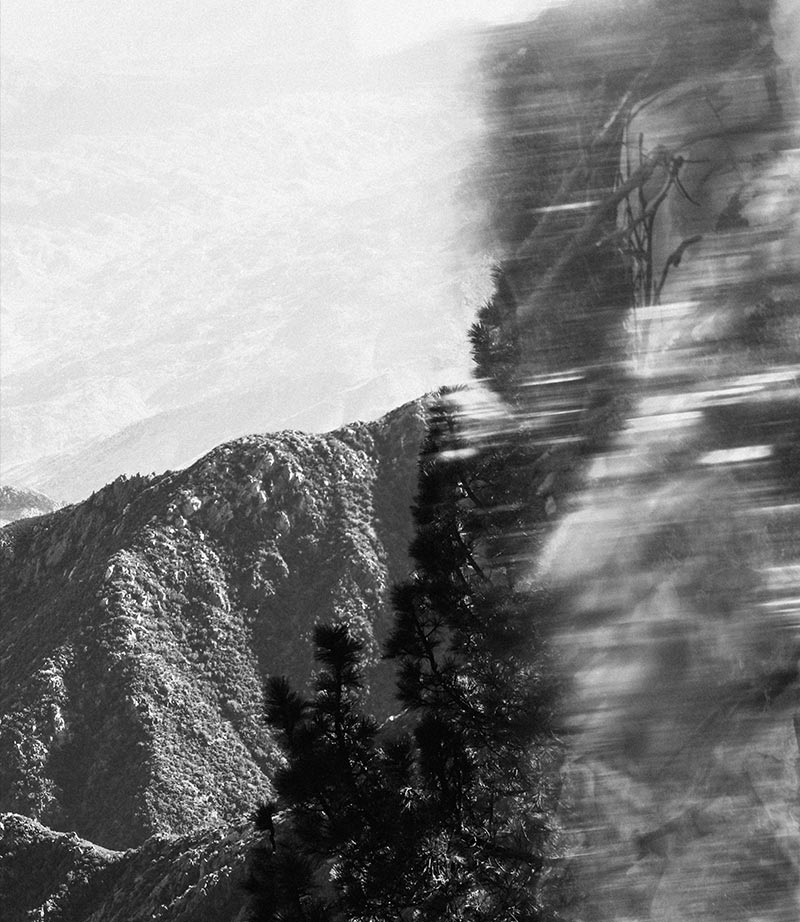 Untitled #8 Oil on canvas 80 × 60 cm 2023 CHF 1400